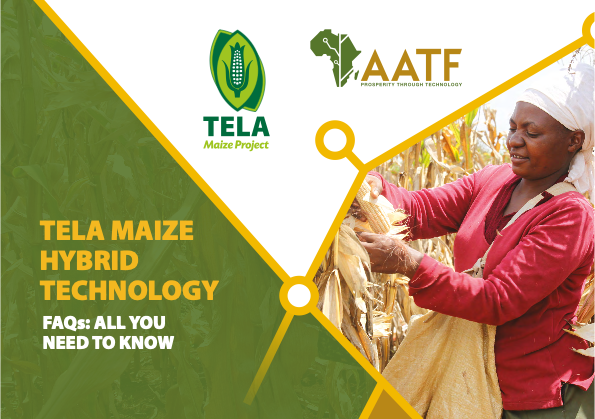 TELA Maize Project FAQ